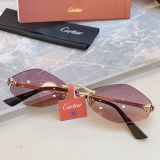 Cartier Fashion Personalized Versatile Glasses Model: CT0433S Size: 55-20-140
