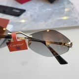 Cartier Fashion Personalized Versatile Glasses Model: CT0433S Size: 55-20-140