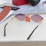 Cartier Fashion Personalized Versatile Glasses Model: CT0433S Size: 55-20-140