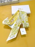 Dior Fashion Versatile Double Sided Silk Ribbon Hair Strap 6 x 105 CM