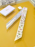 Dior Fashion Versatile Double Sided Silk Ribbon Hair Strap 6 x 105 CM
