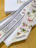 Dior Fashion Versatile Double Sided Silk Ribbon Hair Strap 6 x 105 CM