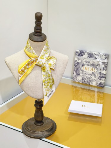 Dior Fashion Versatile Double Sided Silk Ribbon Hair Strap 6 x 105 CM
