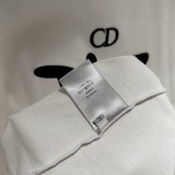 Dior Classic Embroidered Logo Short Sleeve Couple Loose Casual T-shirt