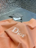 Dior Simple Embroidered Logo Short Sleeve Couple Casual Loose T-shirt