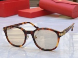 Cartier Fashion Versatile Round Frame Sunglasses Size:53-22-140