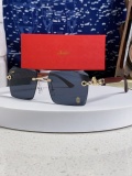 Cartier 2026 Fashion Retro Versatile Frameless Leopard Glasses