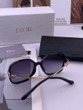 Dior Classic Fashion Versatile Polarized Sunglasses