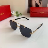 Cartier Couple Fashion Versatile Sunglasses