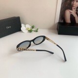 Dior Classic Retro Versatile Sunglasses
