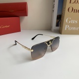 Cartier Fashion Versatile Square Large Frame Sunglasses