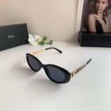 Dior Classic Retro Versatile Sunglasses