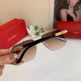 Cartier Couple Fashion Versatile Sunglasses
