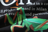 Off White Fashion Mantis Flower Logo Printed T-shirt Couple Casual Loose Short Sleeve