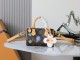Louis Vuitton Fashion Nano Speedy Illustration Handbag Crossbody Bag Size: 10 x 7.5 x 16 CM