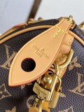 Louis Vuitton Speedy Bandoulière 25 Leather Handbag Crossbody Bag