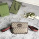Gucci Classic Tiger Head Collar Waist Bag Crossbody Bag Size: 24 x 17 x 3.5 CM