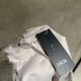 Dior 26SS Couple's Classic Versatile Full Logo Casual Shorts