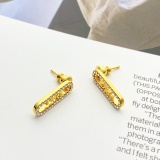 Dior Fashion Versatile Full Diamond Elliptical Long Gold Earrings