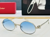 Cartier Fashion Retro Elliptical Metal Frame Sunglasses Versatile Glasses Size: 55-21-145