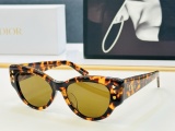 Dior Fashion Retro Sunglasses Versatile Glasses Size: 53-17-140