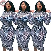9080108 queenmoen new design woman long sleeve zebra print mesh perspective club bodycon midi dress