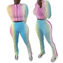 Newest Design Fashion Colorful Zipper Sports Wear Tracksuit Two Piece Set Womens Clothing 2 Piece Sets Outfit