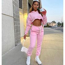 Best Design 2020 Casual Sports Suit Solid Color Ladies Hoodie Set Women Sets Two Piece For Fall And Winter