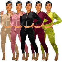New Arrival  Women Fashion Clothing 2021 Ladies Solid Color Velvet Fabric Zipper Women Bodycon Two Piece Pants Set