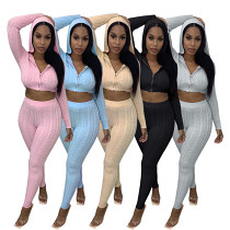 Newest Design Casual Zipper Hoodies Crop Top Sweater Fall 2 Piece Set Women Clothing Solid Color Two Piece Pants Set