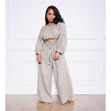 New Style Casual Solid Color Long Sleeve Crop Top Fall 2 Piece Set Women Clothing Suspender Pant Two Piece Set