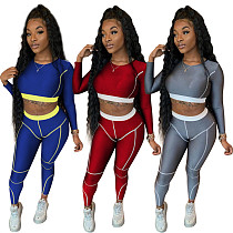 Newest Design Autumn Casual Long Sleeve Crop Top Sportswear Ladies 2 Piece Set Women Bodycon Two Piece Pants Set