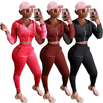New Arrival Casual Sport Solid Color Velvet Crop Top Zipper Hoodie Fall 2 Piece Set Women Two Piece Pants Set