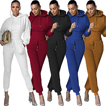 New Arrival Casual Solid Color Hoodie Sportswear Ladies 2 Piece Set Women Two Piece Pants Set