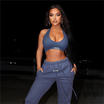 Women Clothing Crop Top Sweatsuit Set Tracksuit Gym Fitness Sets Joggers Pants Two Piece Pants Outfits Set