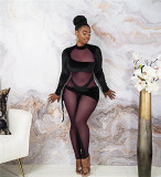 Best Seller 2021 womens clothing 2021 Bodycon Jumpsuits velvet Mesh Splice Sexy Rompers Women One Piece Jumpsuit