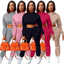 Custom Hoodies Womens Winter Clothing 2021 Crop Top Thick Fleece Two Piece Pants Set Jogging Sweatpants And Hoodie Set