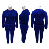 Fashionable 202 Casual Sports Women Solid Color Hoodie Zipper Jacket Plus Size Two Piece Pants Sets