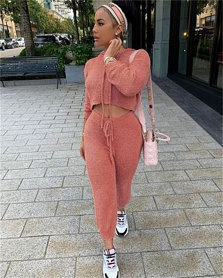 New Trendy Solid Color Hoodie Womens Clothing Two Piece Pants Set Women Two Piece Set Women Sets Two Piece