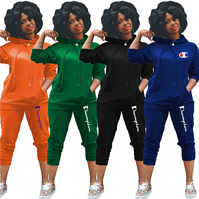 Autumn new two piece pants set Tracksuits hoodie joggers solid casual women sweatsuit sweatpants set