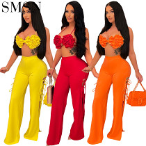 Wholesale Solid Color Crop Top 2 Piece Pants Set Two Piece Women Sets For 2022