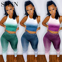 Amazon Casual Gradient sleeveless women crop top set two-piece pants set