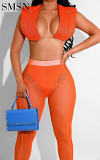 Sexy summer 2022 See-through netting High-waisted, butt-lifting, crop top two-piece set