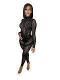 Fashion jumpsuit 2022 long sleeve see through mesh sexy bodysuits for women