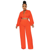 Two Piece Outfits Amazon new milk Silk solid color long sleeve fashion casual two piece suit