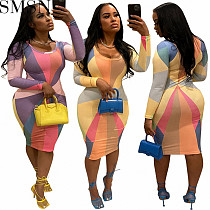 Plus Size Dress Fashion Sexy Slim Long Sleeve Positioning Print Dress