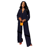 2 piece outfits sexy fashion comfortable pleated cloth swing pants wide leg pants suit