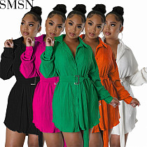 Plus Size Dress Amazon New Fashionable Pleated Long Sleeve Cinched Blouse Belt Dress