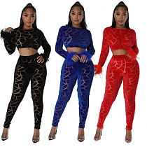 Wholesale fall fashion feather sleeve velvet two piece set sexy outfits for women