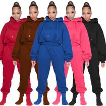 2022 fall sweatpants and hoodie set thickened women tracksuit sweatsuit set